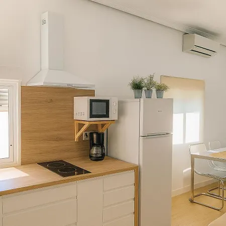 Atico Duplex Con Terraza En Pleno Centro De Jerez