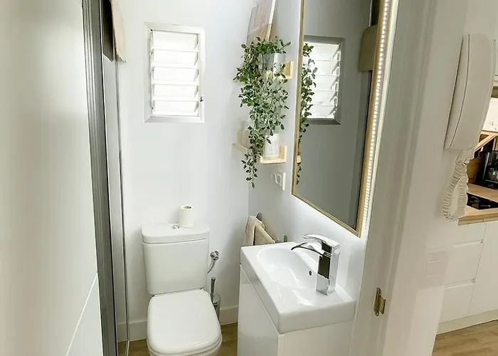 Atico Duplex Con Terraza En Pleno Centro De Jerez Apartment Jerez de la Frontera