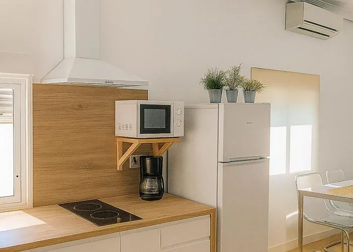 Atico Duplex Con Terraza En Pleno Centro De Jerez